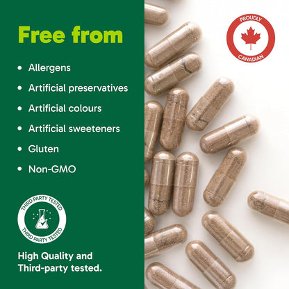 Organika 韩国红参 - 6 年根，补充能量，缓解压力，保暖效果 - 100 粒