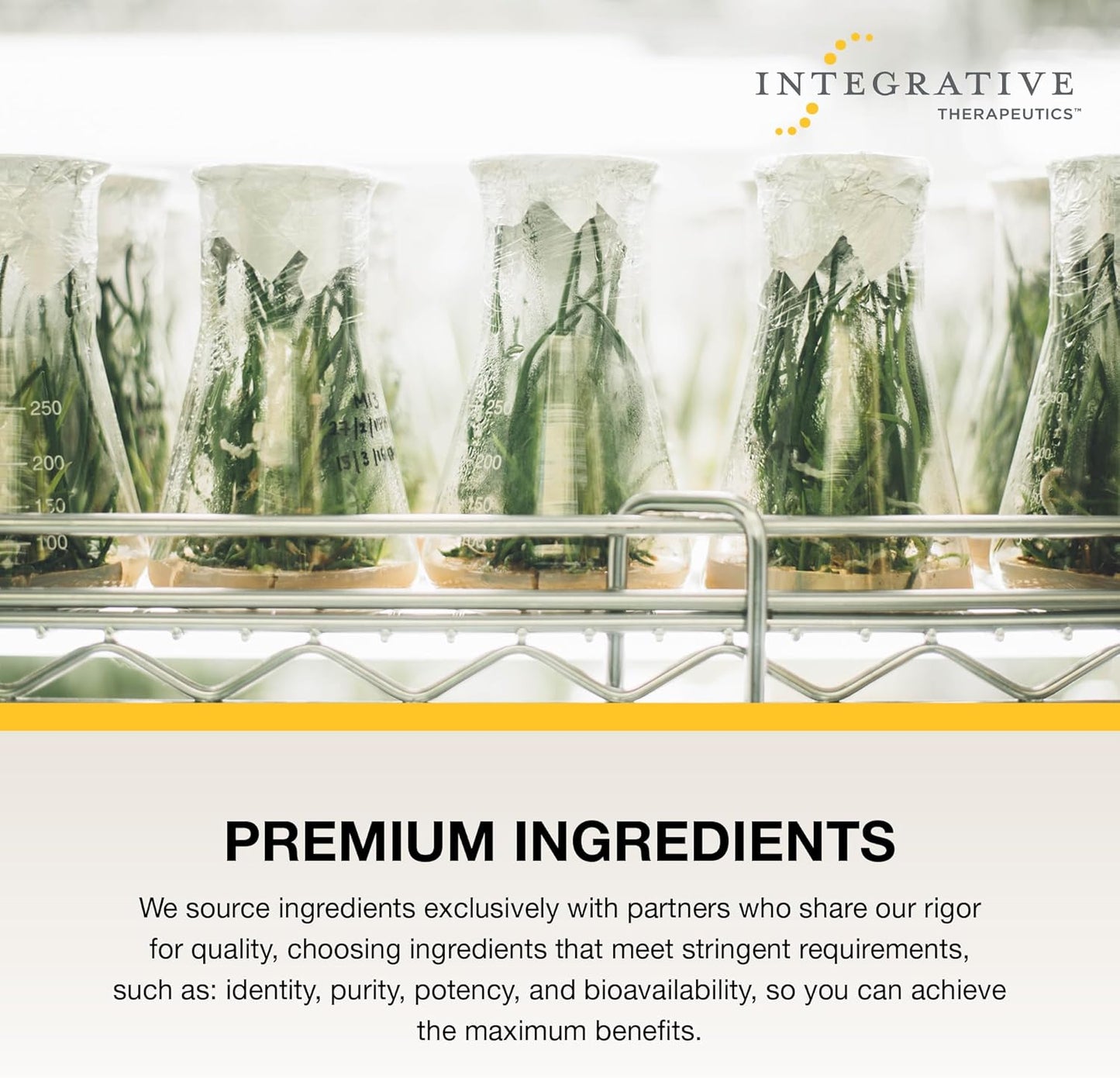 Integrative Therapeutics 鋅肌肽 – 優質鋅補充劑 – 75 毫克鋅肌肽 – 維持身體健康的因素 - PepZin GI – 60 粒膠囊