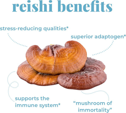 Doseology，睡眠，灵芝、洋甘菊和褪黑激素提取物，子实体蘑菇酊剂，有助于减少入睡时间，促进休息和放松，100 毫升（一个月用量）