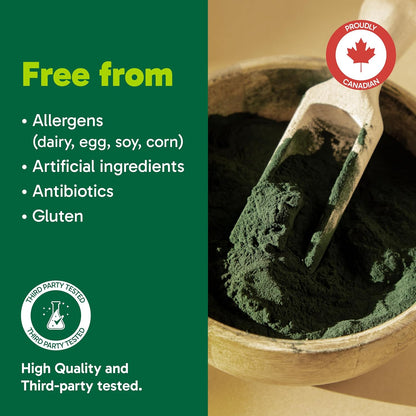 Organika 小球藻认证有机粉 - 破壁增强生物利用度，营养成分丰富，碱化，解毒 - 300克