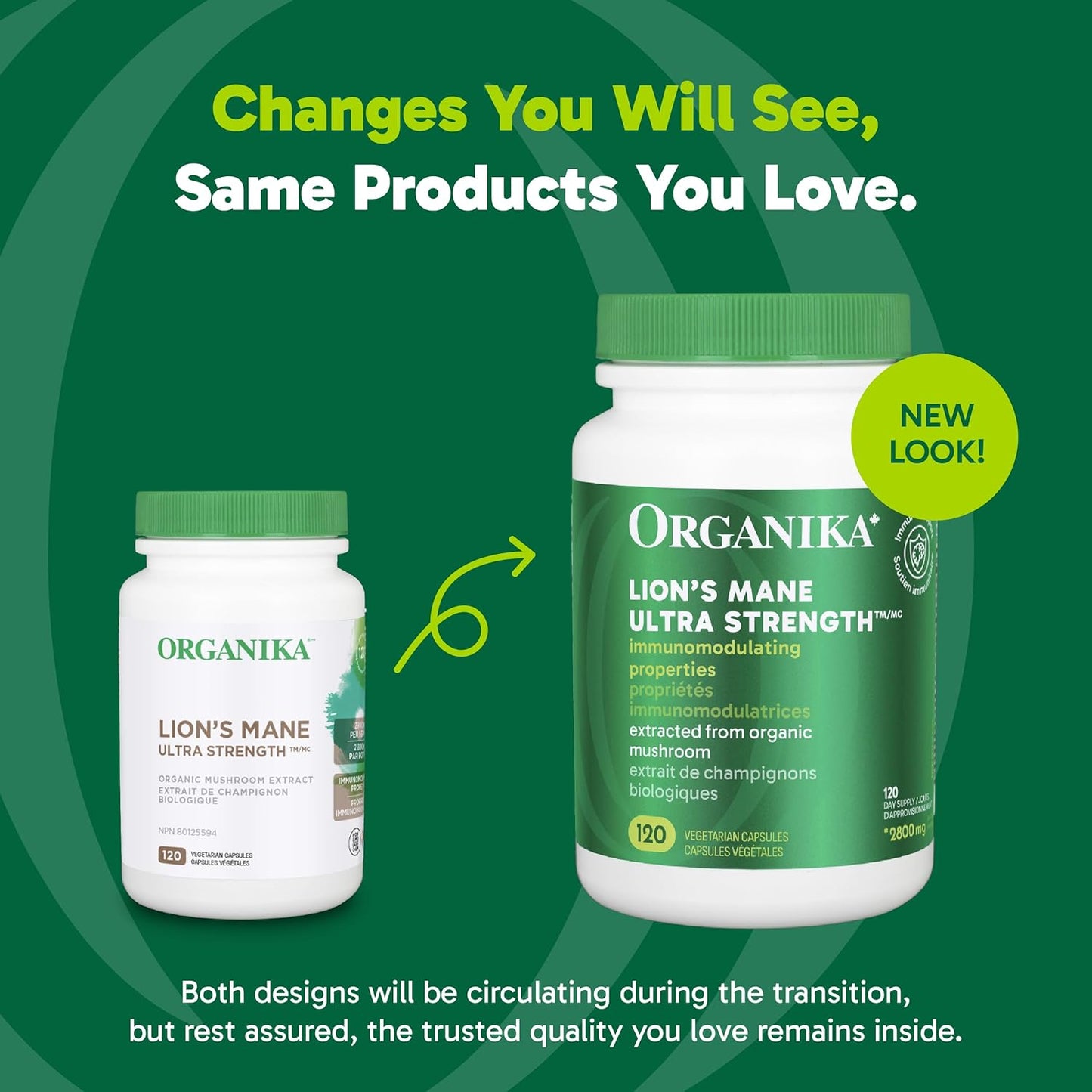 Organika 加拿大制造狮鬃菇 - 超强有机蘑菇提取物 - 2800 毫克 - 益智，天然支持记忆力、情绪、神经保护和认知 - 120 粒胶囊，120 天用量