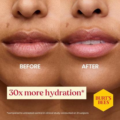Burt's Bees 100% 天然保湿润唇膏，适用于干裂嘴唇，唇部护理，柔软光滑双唇，1 支装 - 生日蛋糕