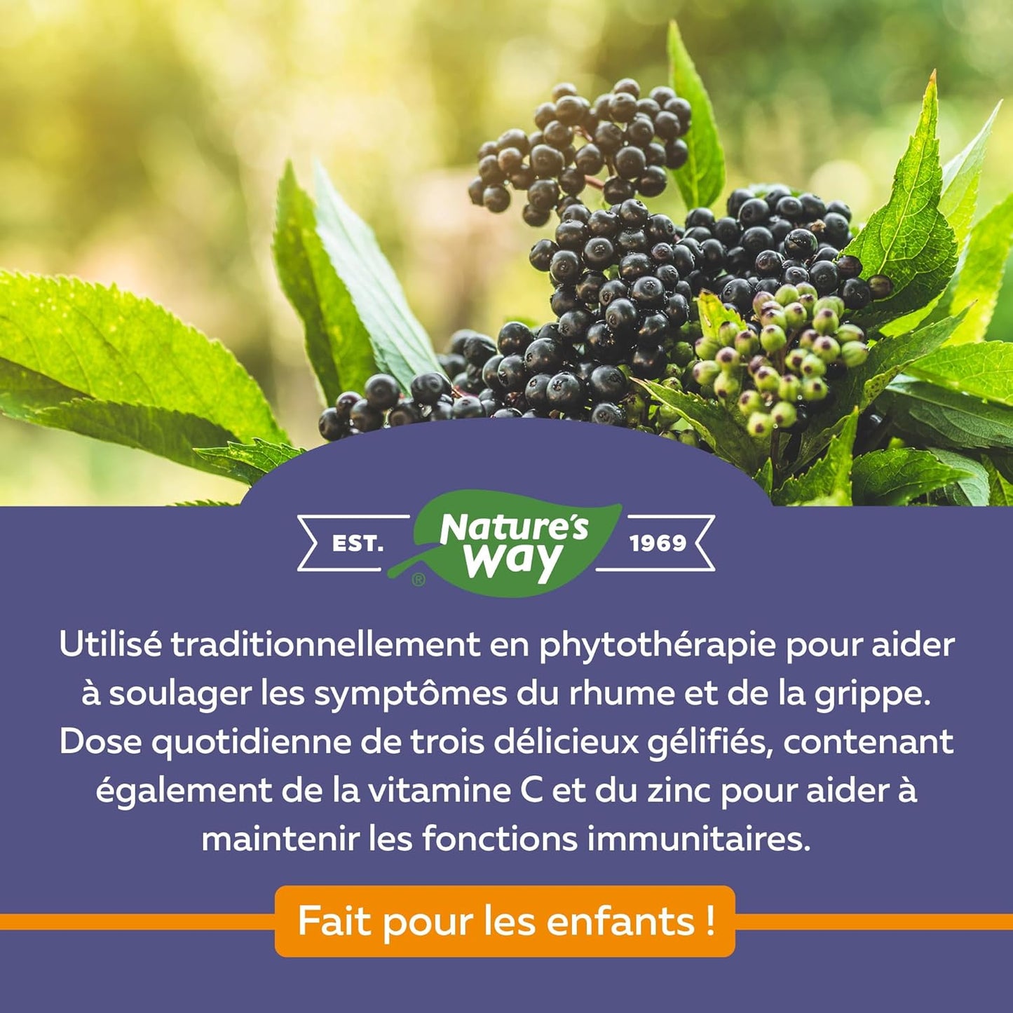 Nature's Way 接骨木免疫感冒和流感护理接骨木软糖和接骨木感冒和流感缓解接骨木儿童软糖