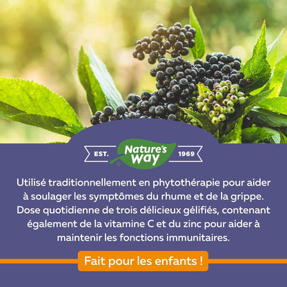 Nature's Way 接骨木免疫感冒和流感护理接骨木软糖和接骨木感冒和流感缓解接骨木儿童软糖