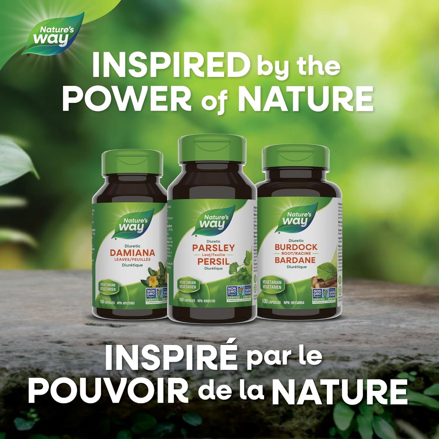 Nature's Way 歐芹葉 - 利尿劑 - 每粒膠囊含 450 毫克歐芹葉 - 傳統草本祛風解痙劑 - 非基因改造 - 100 粒素食膠囊