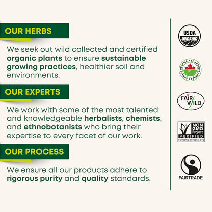 Traditional Medicinals - 有机舒腹薄荷草本茶（6 包）- 含生姜、茴香和柠檬香脂，有助于消化 - 共 96 个茶包