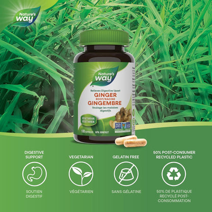 Nature's Way Ginger Root – Traditional Digestive Support Supplement – Helps Relieve Digestive Upset – Gluten Free, Vegetarian, Non-GMO – 100 Capsules
