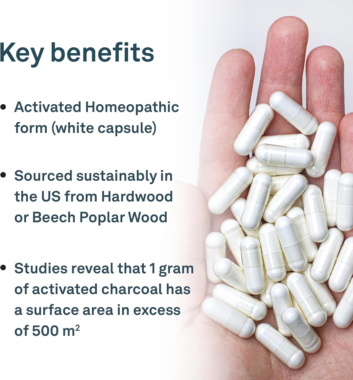 Organika 全譜植物酵素 - 幫助分解碳水化合物、脂肪、蛋白質、乳製品 - 60 粒素食膠囊 & 活性碳 - 順勢療法木炭，消化支持，排毒，脹氣和腹脹支持 - 90 粒素食膠囊