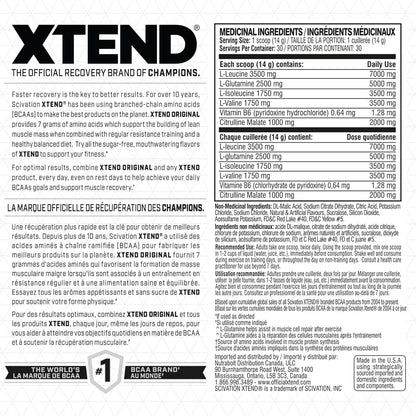 Scivation XTEND 原味 BCAA 粉 | 無糖運動後肌肉恢復飲料，含氨基酸 | 7 克 BCAA，男女適用 | 30 份，芒果味 - 420 克