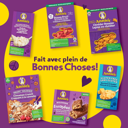 ANNIE'S 巧克力碎燕麦棒，有机，无人工香料，全谷物，5 包燕麦棒