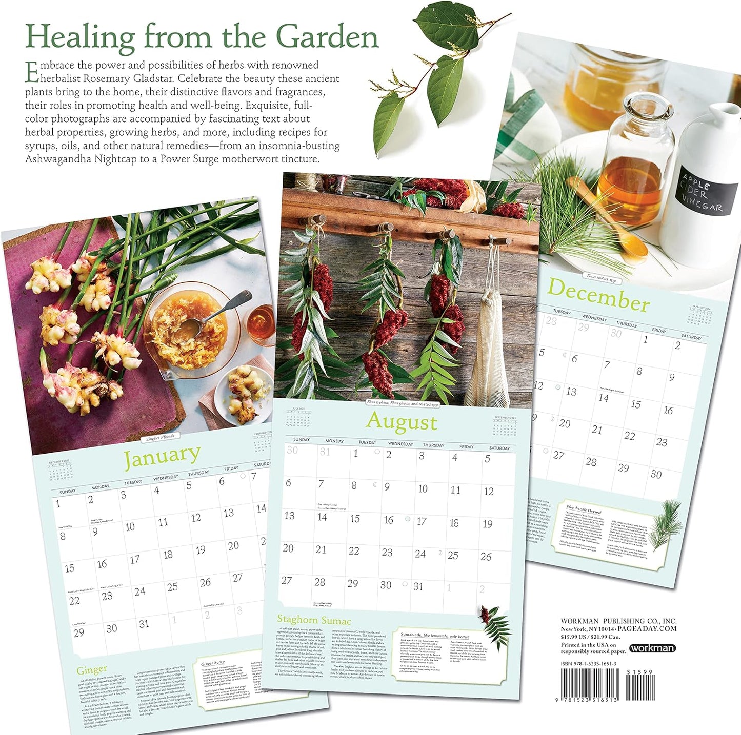 Rosemary Gladstar's Herbs Wall Calendar 2023: Recipes and Remedies for Health and Home