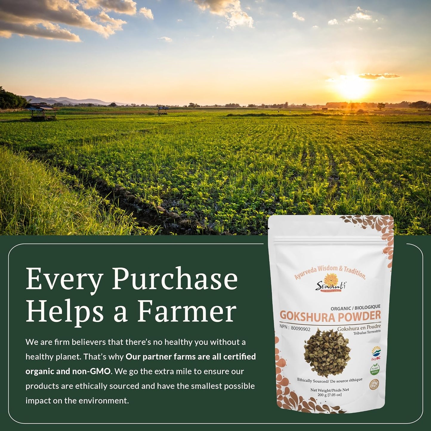 有機Gokshura粉 NPN 80090902/生蒺藜/200克