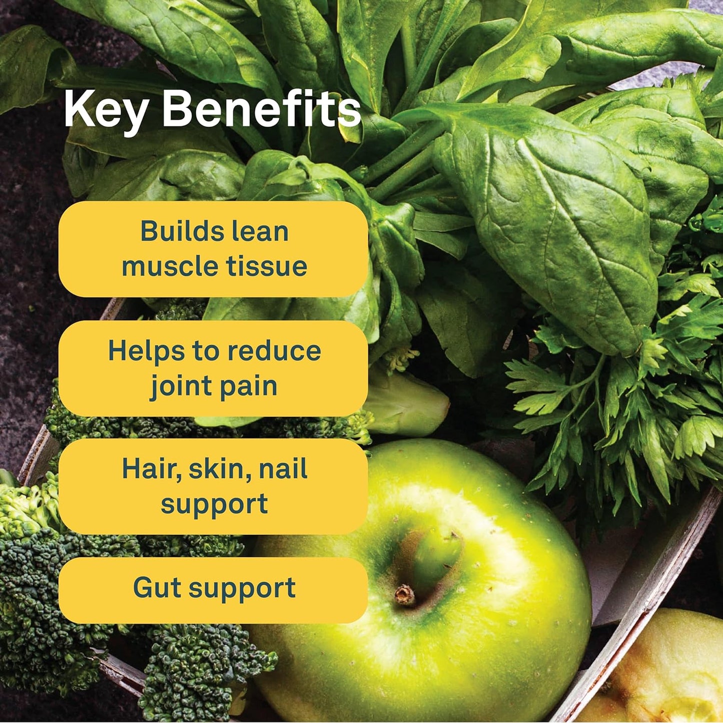 Organika Canadian-Made Power Greens with Enhanced Collagen - 16 Superfoods - Organic Fruits and Vegetables Nutrient Rich Powder Pineapple Punch Flavor with Essential Proteins and Probiotics - 220g