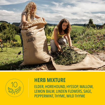 Ricola Lemon Mint No Sugar Added Throat Drops