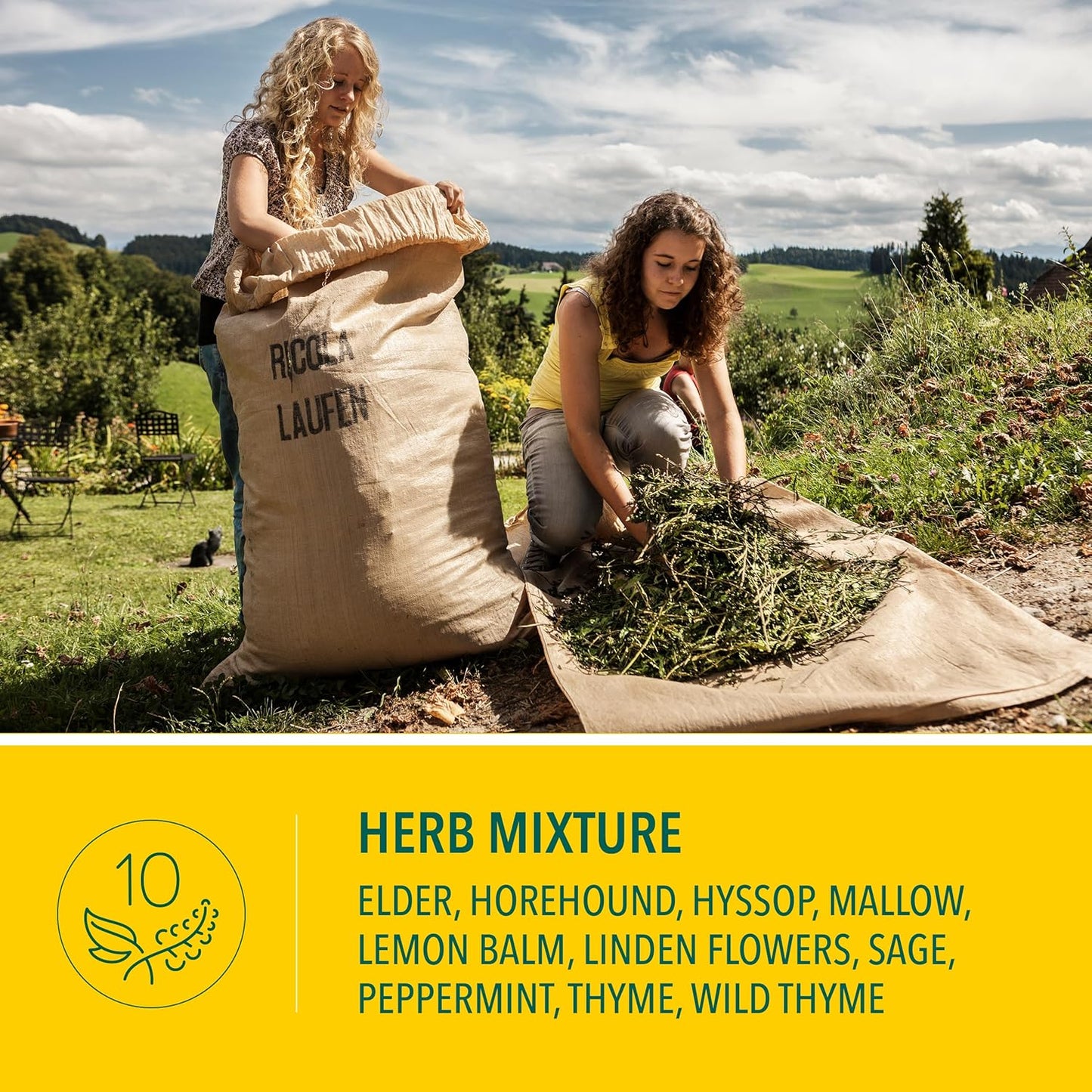 Ricola Berry Medley Throat Drops, 18 Count Box, Delicious Throat Relief & Care, Oral Anesthetic, Naturally Flavored