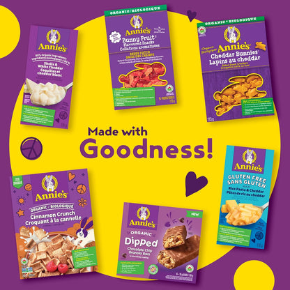 ANNIE'S 巧克力碎燕麦棒，有机，无人工香料，全谷物，5 包燕麦棒