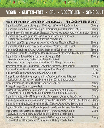 Iron Vegan 鳳梨橙超級食品和綠色食品粉，180 克