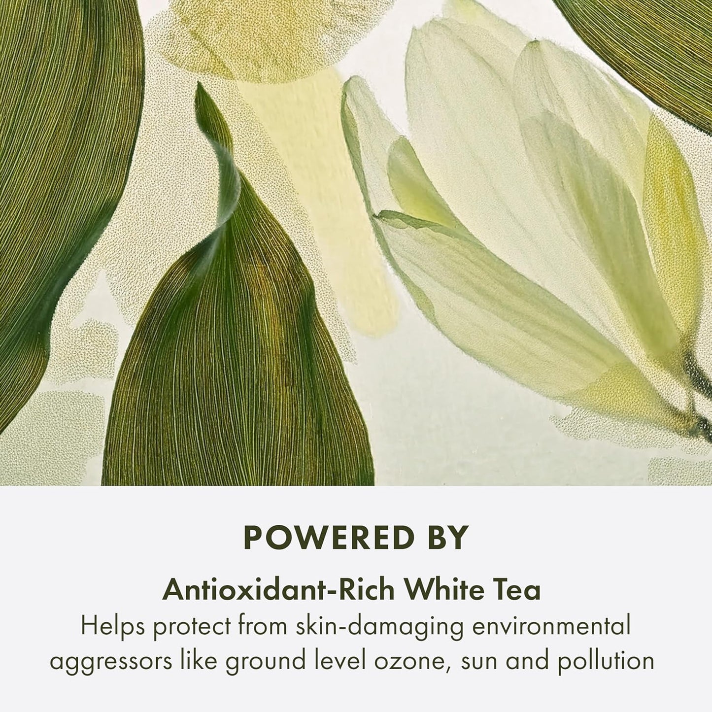 Origins A Perfect World Antioxidant Moisturizer | Keeps Skin Looking Youthful | With White Tea, 50 ml