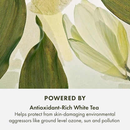 Origins A Perfect World Antioxidant Moisturizer | Keeps Skin Looking Youthful | With White Tea, 50 ml