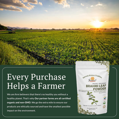 Organic Brahmi Powder NPN 80092677/ Memory Enhancement/ 200g