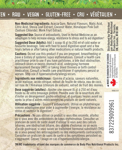 Iron Vegan 鳳梨橙超級食品和綠色食品粉，180 克