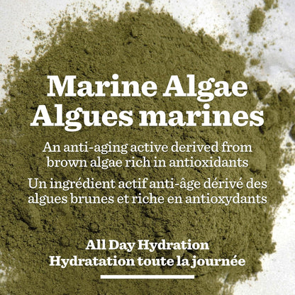 Bulldog Skincare 男士抗衰老保湿霜，滋养乳液 100 毫升