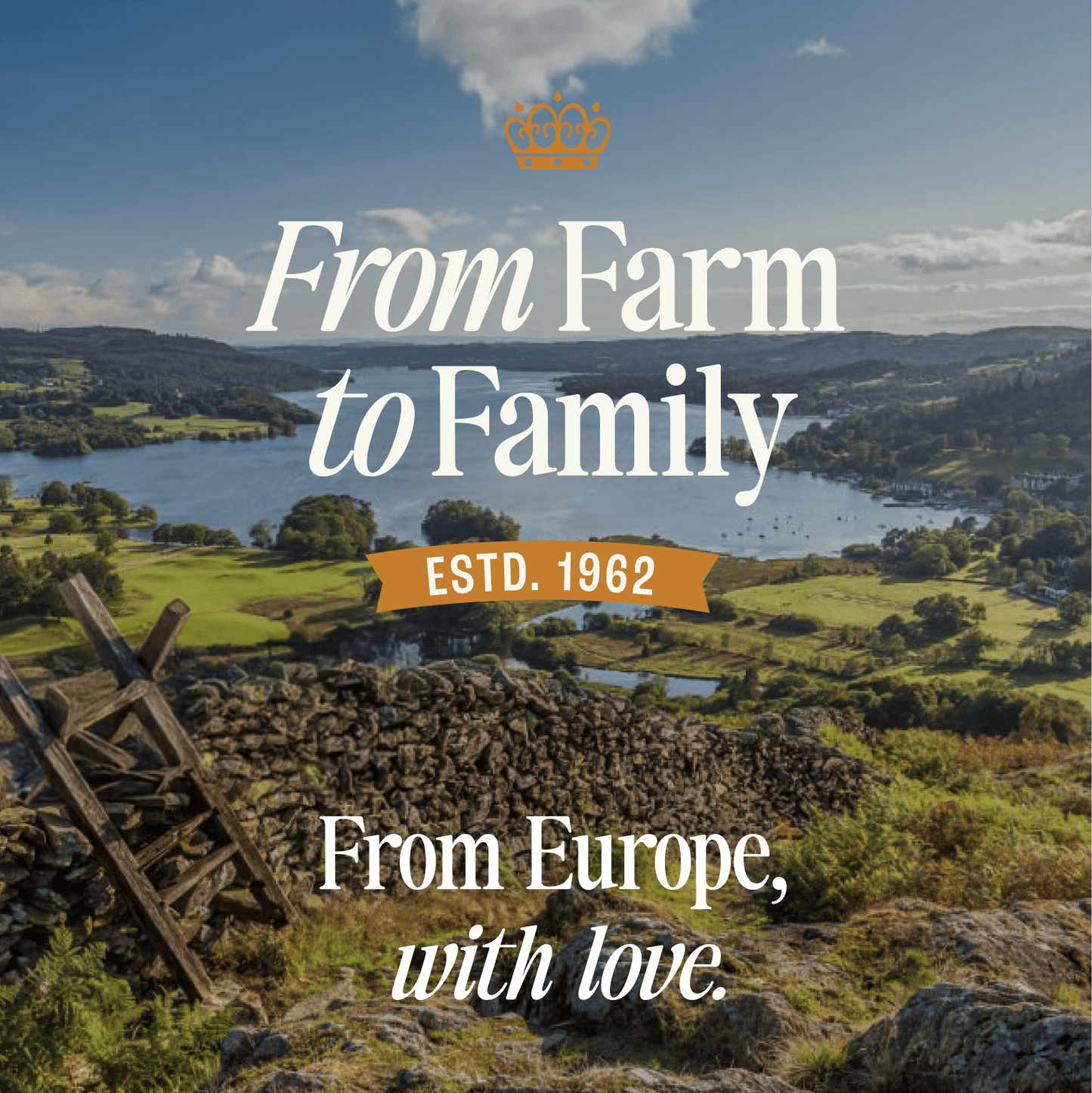 肯達米爾經典款，非基因改造即食液體嬰兒配方奶粉，含 HMO、GOS 和 FOS，0-12 個月，250 毫升瓶裝，6 瓶裝，肯達米爾 KNDML 嬰兒配方奶粉